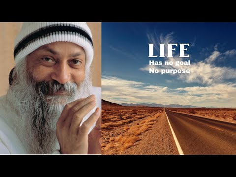 Life has no goals, no purpose