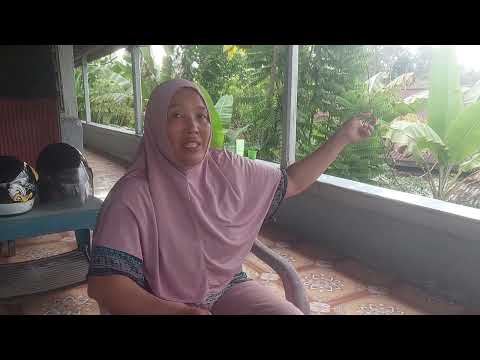 Begal Beraksi Pagi Hari Rampas Sepeda Motor IRT
