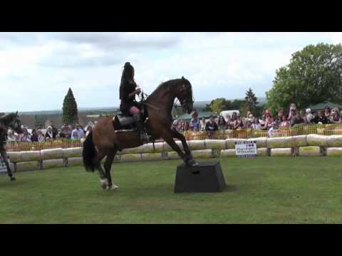 Equestriennes 'Oh La La' Stunt Show