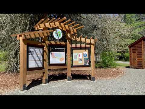 Lake Wilderness Arboretum Foundation | Showcasing the Beauty of the Arboretum