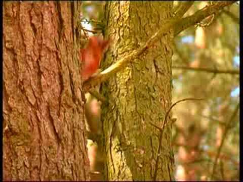 Haddo Country Park (Easter Sunday) Part 1