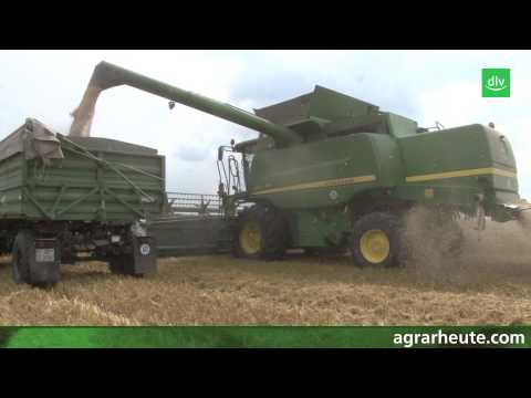 Farm report: top yields, full warehouses