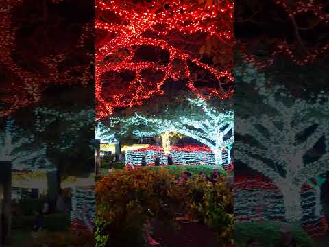 Parque san Ramón de alajuela  Costa Rica