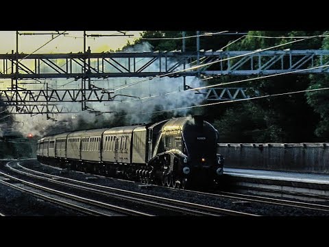 Steam Locomotives At Speed #3