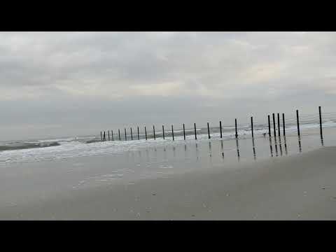 download lagu mp3 mp4 Currituck National Wildlife Refuge, download lagu Currituck National Wildlife Refuge gratis, unduh video klip Currituck National Wildlife Refuge