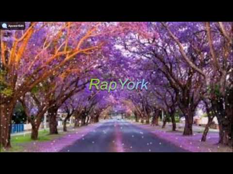 Pitbull - Options (Lyric Video) ft. Stephen Marley