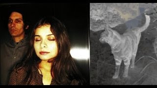 Mazzy Star - I'm Less Here - live 2000,pt. 14 (of14)(studio single out April 19, 2014)