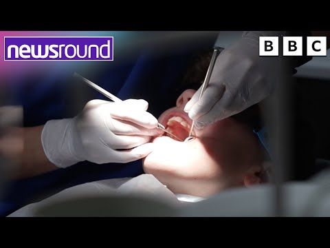 What happens when you go to the dentist? | Newsround