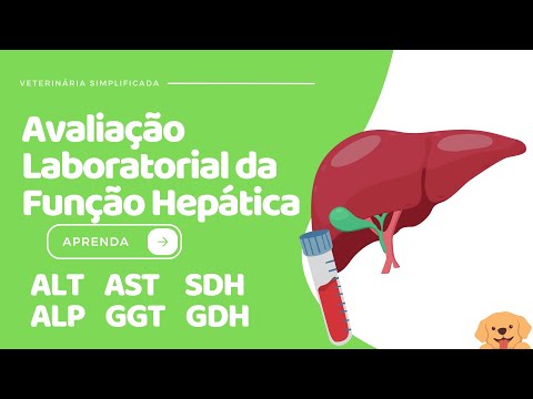 Veterinary Clinical Biochemistry | Evaluation of Liver Enzymes