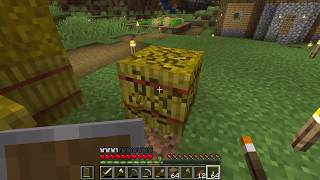 【Minecraft】ちゃんけいのマインクラフト日記 8日目 村の将来を考えるとわくわくがとまんねぇぞ！