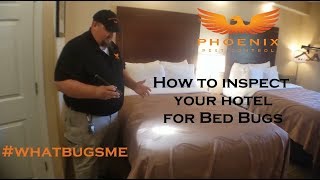 How to Inspect your Hotel for BED BUGS