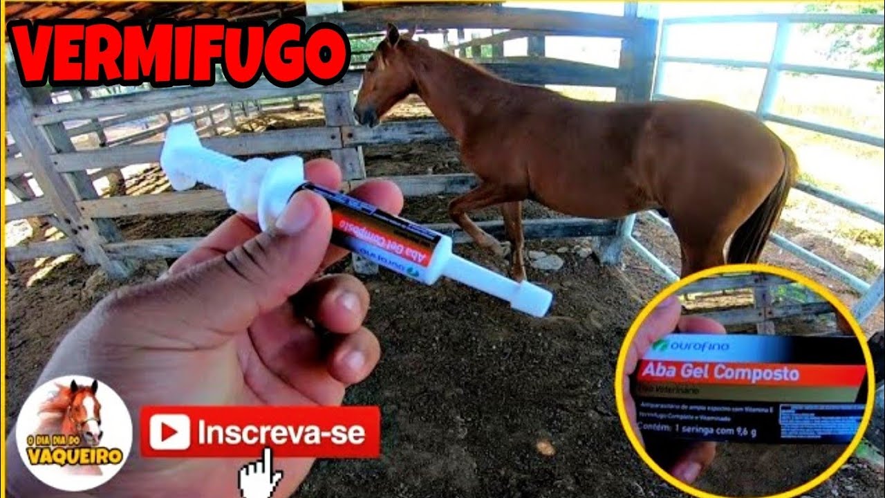 COMO VERMIFUGAR SEU CAVALO.