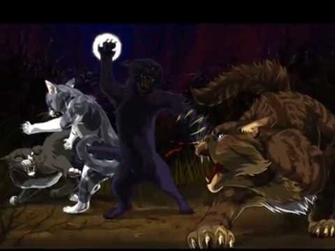 Power of three AMV ~ Jayfeather