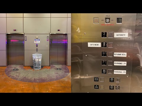 Dewhurst! Otis Traction elevators @ Neonopolis - Las Vegas, NV