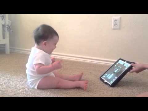 Oliver e o gatinho Tom