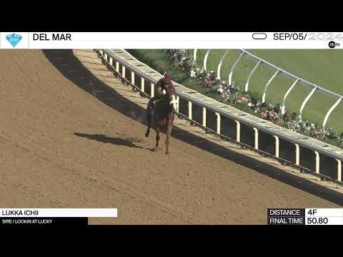 Work of the Day at Del Mar: Lukka worked 4 Furlongs in 50.80 on September 5th, 2024