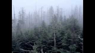 To be lost in fog and see light in the distance