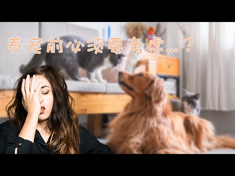 养狗之前的三大条件