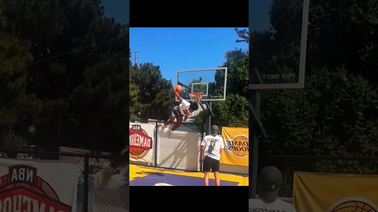 ILLEGAL BASKETBALL MOVES! #basketball #basketballhighlights #nba
