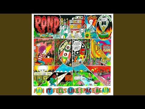 download lagu mp3 mp4 Pond Waiting Around For Grace, download lagu Pond Waiting Around For Grace gratis, unduh video klip Pond Waiting Around For Grace