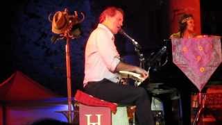 HUGH LAURIE ARLES Wild honey