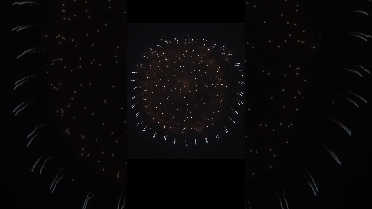 片貝煙火工業 青い向日葵 #shorts #花火 #尺玉 #art #fireworks