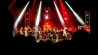 JBees in Orchestra 1 -  videostory