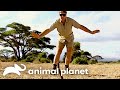 A Spitting Snake Spat On Steve The Crocodile Hunter Animal Planet