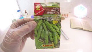 Огурец Наша Маша: отзывы, описание сорта, фото, видео, отзывы ...