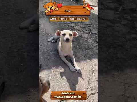 Vídeo de Dora