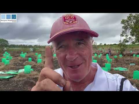 Charlotte's Wood Planting