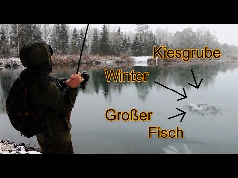 Angeln im Winter auf Hecht in einer Kiesgrube!! Mit großem Erfolg !! Größter Fisch für dieses Jahr!