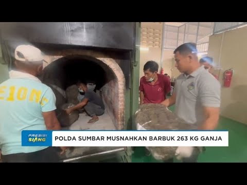 POLDA SUMBAR MUSNAHKAN BARBUK 263 KG GANJA