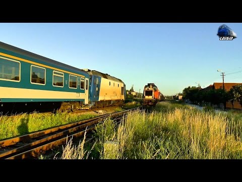 Horns Show By Jimmy 65-1300-6 & LDH 82-0562-7 pe Apus/on Sunset in Oradea - 06 June 2016