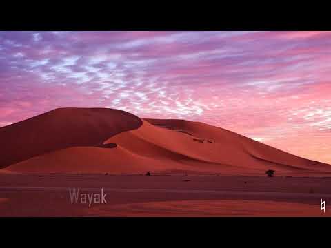 Borgore ft. Dudu Tassa - Wayak || Sub español