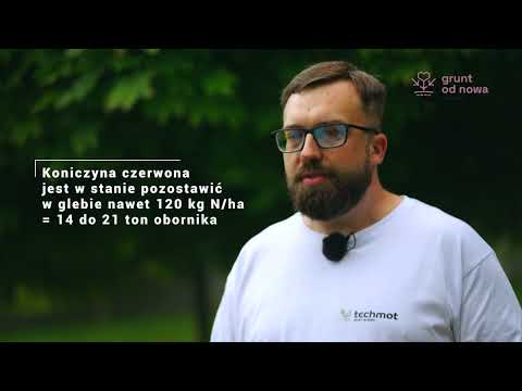 Międzyplony - Rewolucja na polu