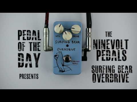 Animals Pedal Surfing Bear overdrive Custom Illustrated 044 by