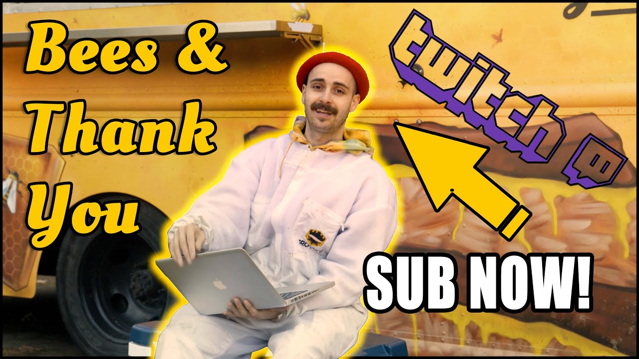 Promotional video thumbnail 2 for Bees And Thank you