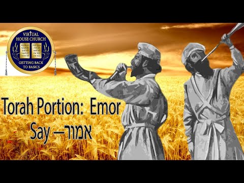 2021 Virtual House Church - Bible Study - Week 31: Emor