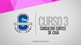 Consultar Cortes de Caja