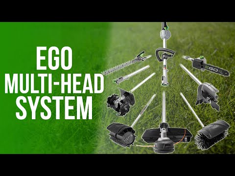 Ego Multi-Head System Review: What You Should Consider Before Buying (Our Honest Insights)