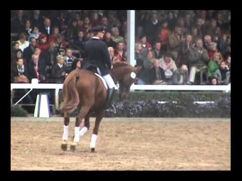 Ldb. Basic v. Belissimo M