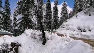 preview picture of video 'Snow View Chopal, Chaupal Himachal Pradesh'