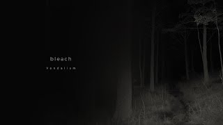 Cover art for bleach