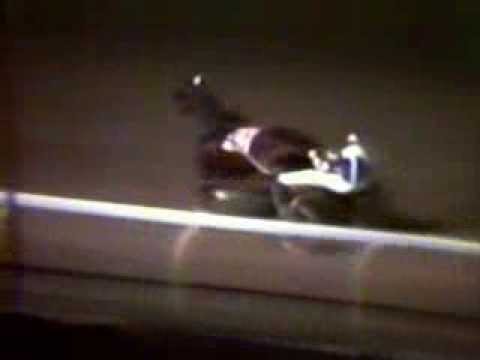 NIATROSS - Pompano Park 1980