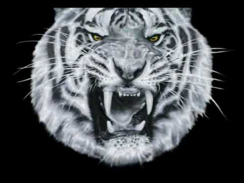 Walter Tiger-tec Silver
