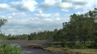 Environmental Mitigation