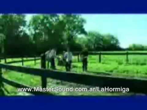 La Hormiga - No todos los burros (Video Official) Ska Rock Cristiano