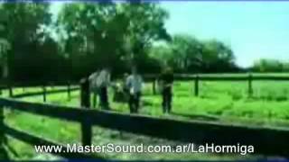 La Hormiga - No todos los burros (Video Official) Ska Rock Cristiano