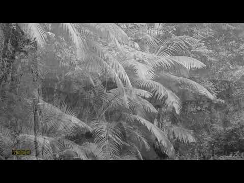 Jean René Charles   Full Album Albom Compillation